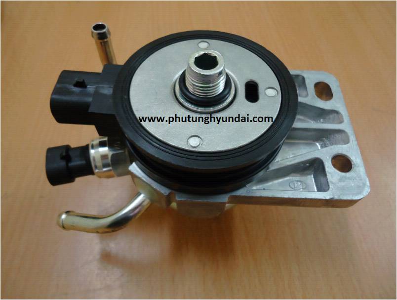 Bơm tay nhiên liệu