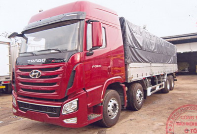 Hyundai trago 2012