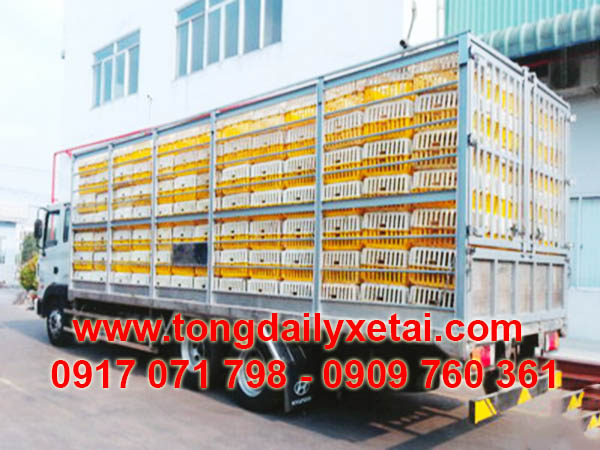 0423VAQ09011600S