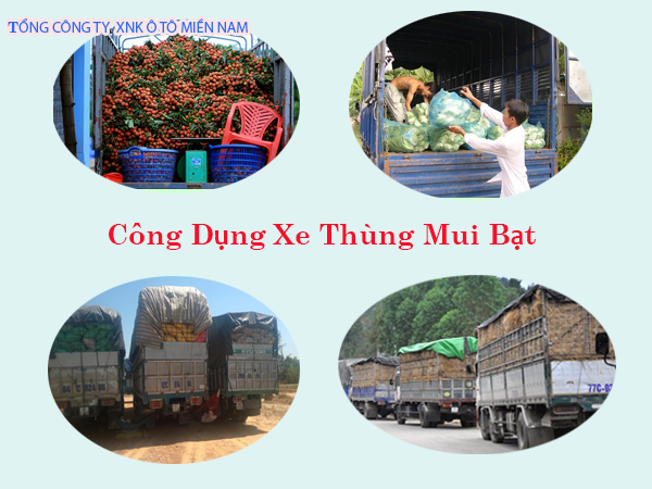 CONG DUNG XE MUI bat