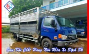 Bảo Vệ Xe Tải Hyundai Chở Gia Súc