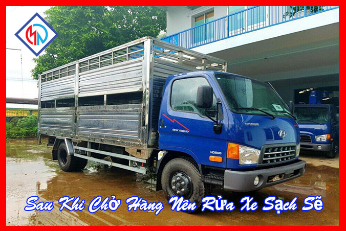 Bảo Vệ Xe Tải Hyundai Chở Gia Súc