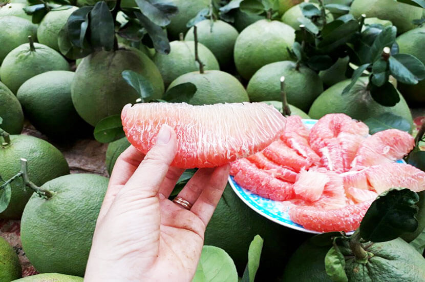 Chia sẻ kinh nghiệm Chia sẻ kinh nghiệm