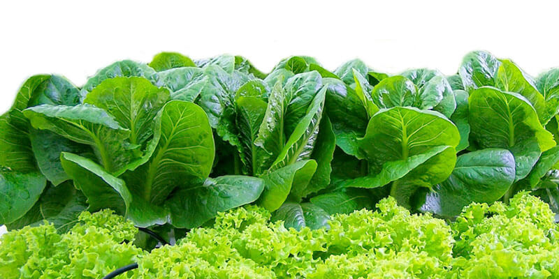 Xu hướng kinh doanh 2019 Xu hướng kinh doanh 2019