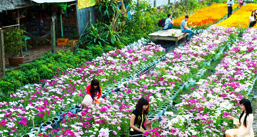 Ngành nghề gì 2019