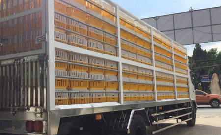 Kinh Nghiệm Mua Xe Chở Gia Cầm Cũ